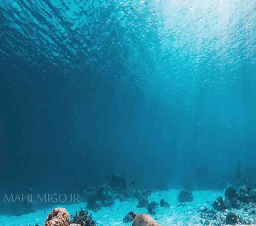 قزل شوشتر