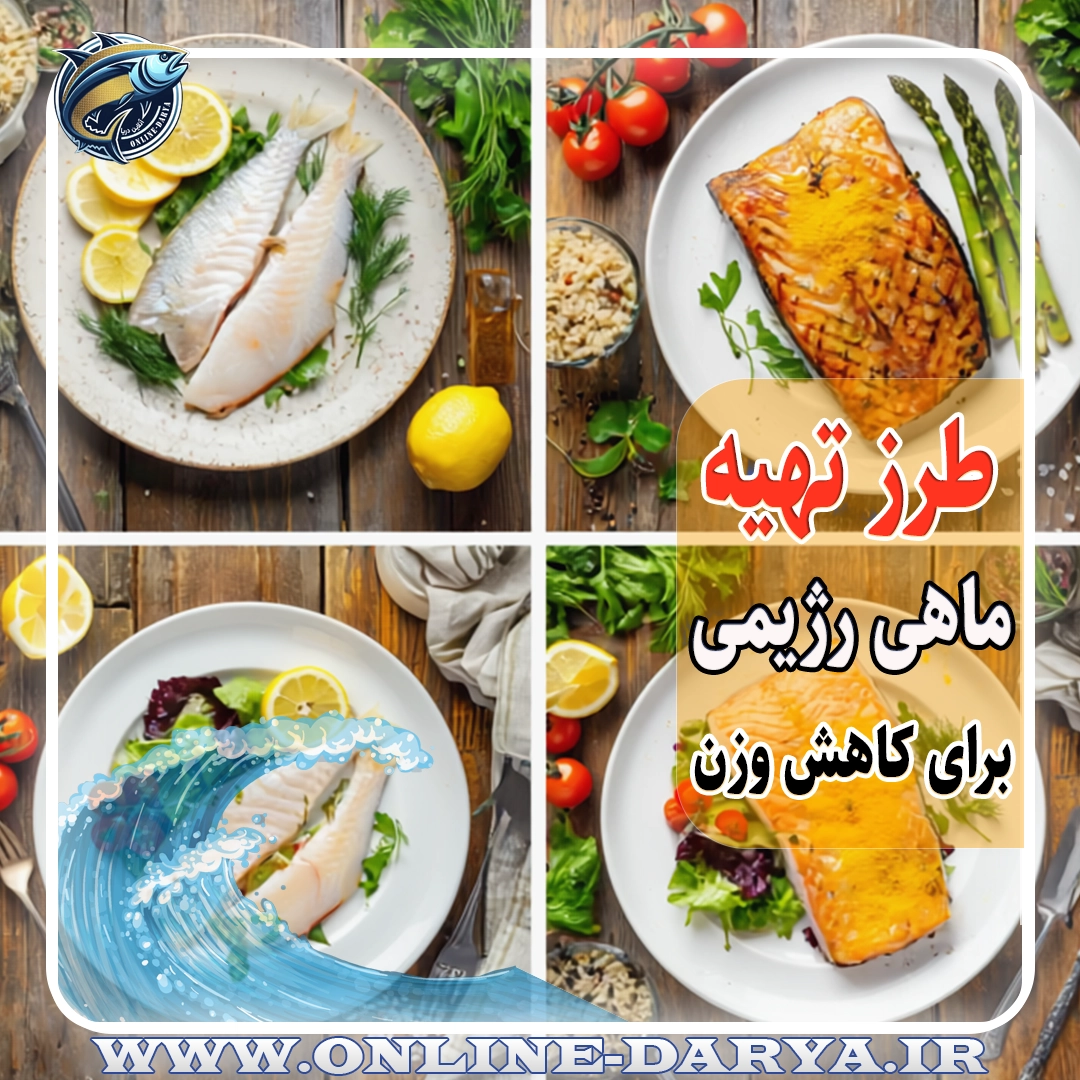 112انواع روش های تهیه ماهی رژیمی ساده و خوشمزه برای کاهش وزن خواص و مشخصات