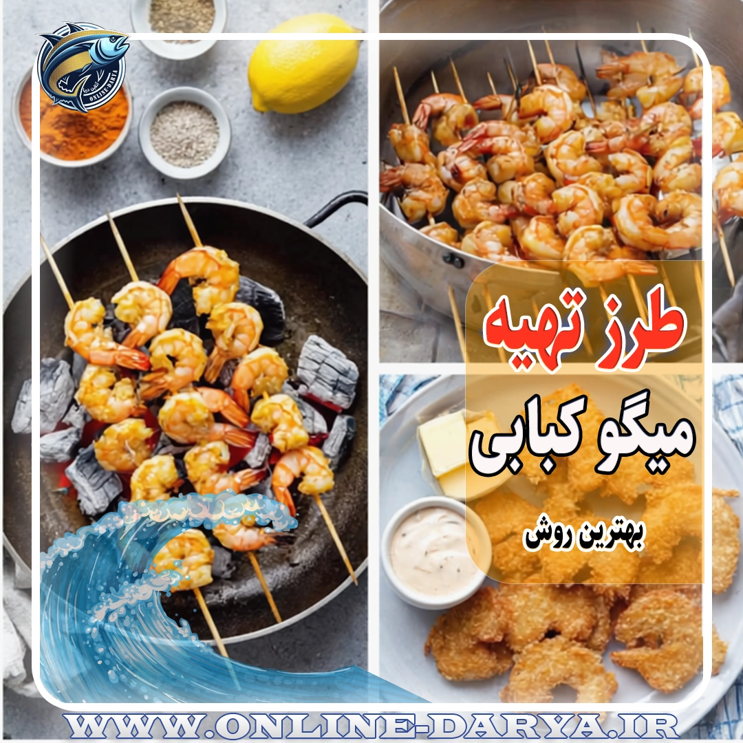 104طرز تهیه میگو کبابی خواص و مشخصات