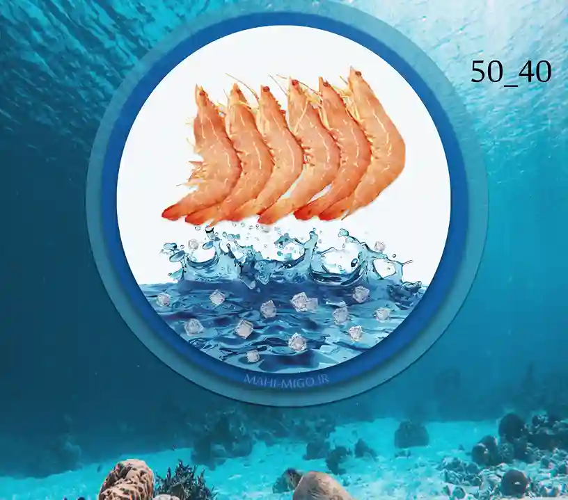 میگو پرورشی 40_50