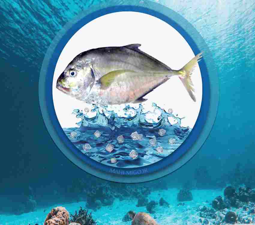 ماهی گیشماهی دریایی