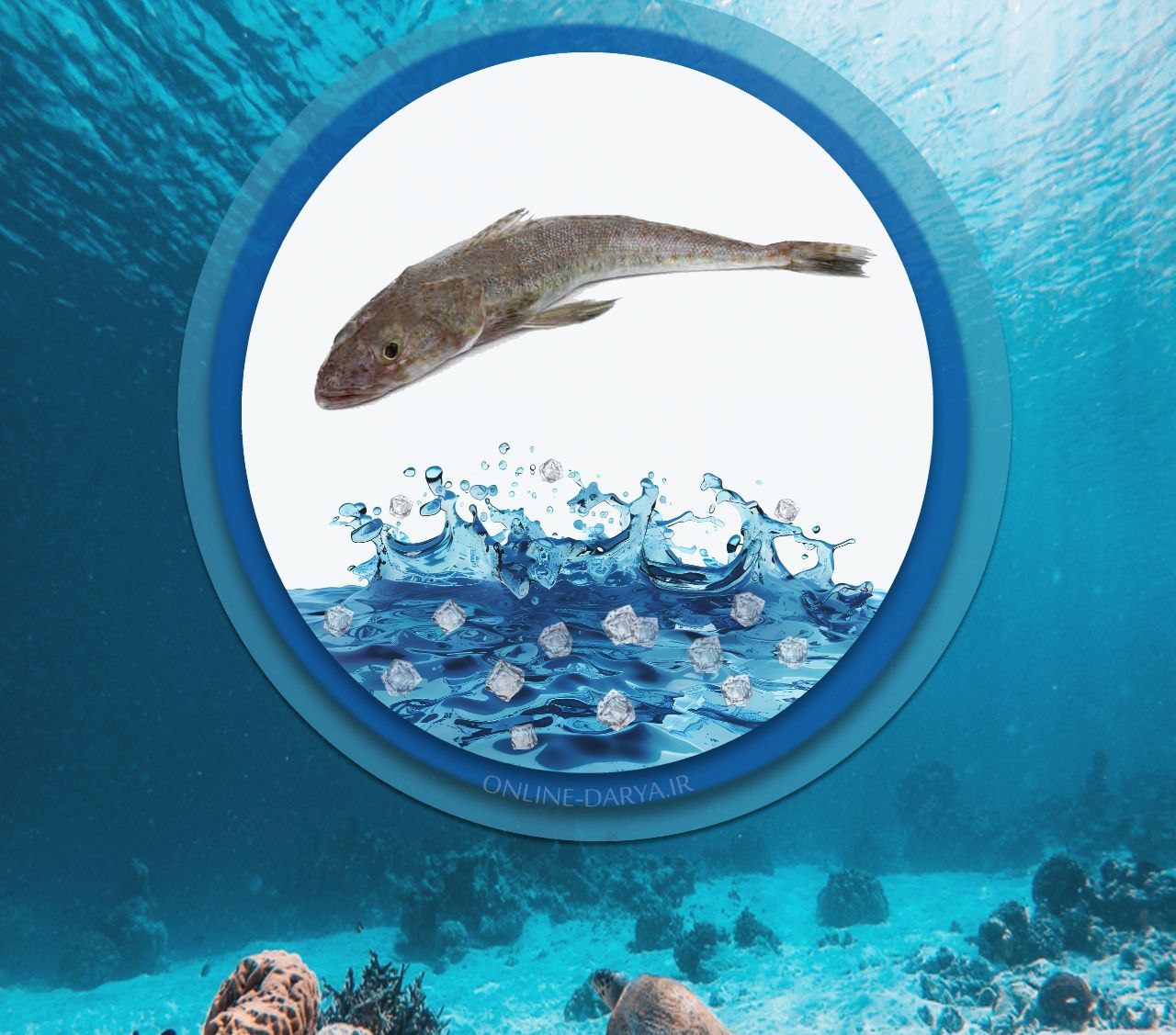 ماهی سرزدریایی