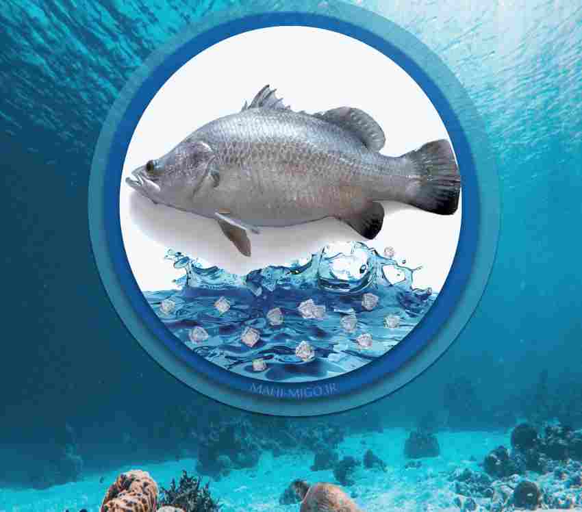 ماهی سیباسماهی دریایی