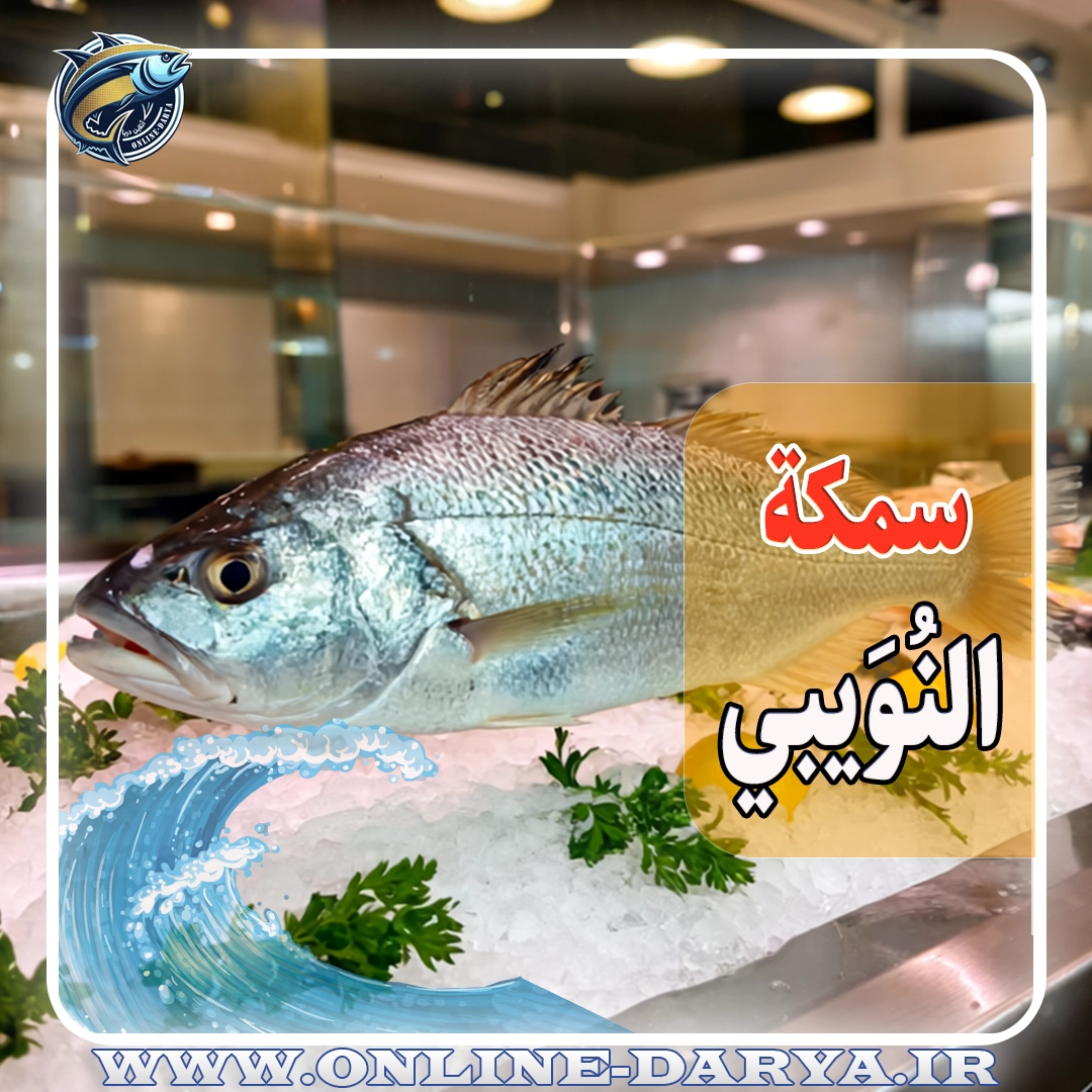 شراء وأسعار سمك النويبي | شحن مباشر من الأهوازمقاله